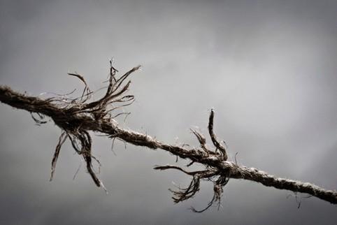 О тебе я забуду совсем