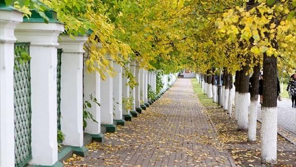 ОСЕННИЕ МОТИВЫ