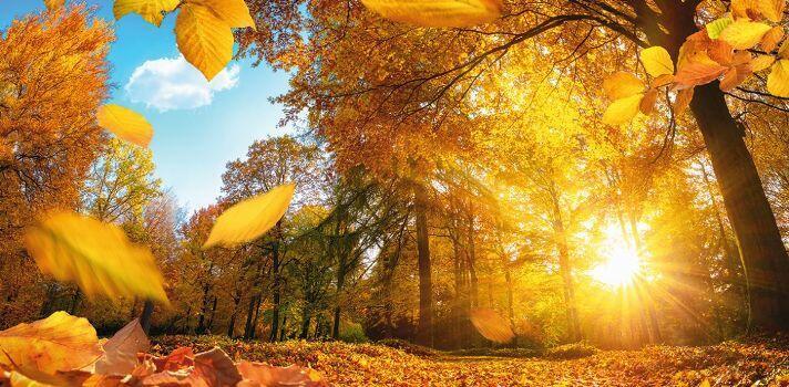 Таинство осени