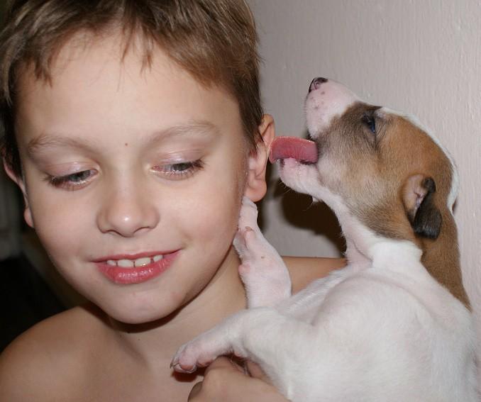 ЧТО ТАКОЕ ЛЮБОВЬ? (Ответ № 10)