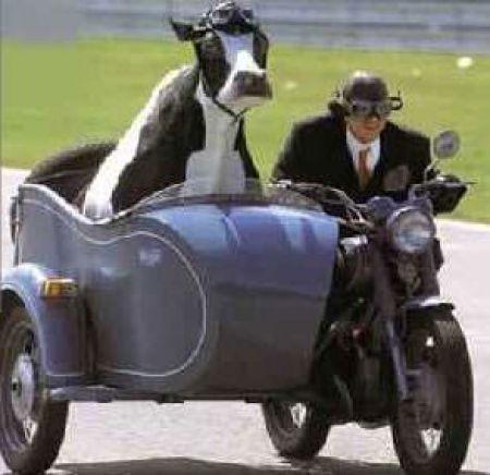 Не полный ноль