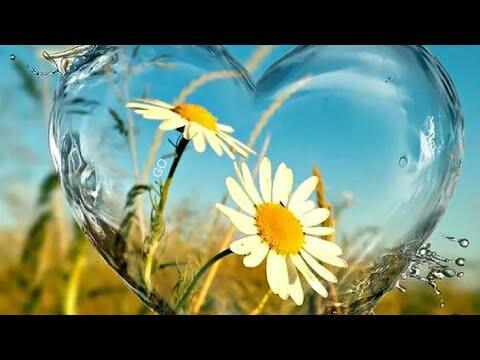 Про любовь...