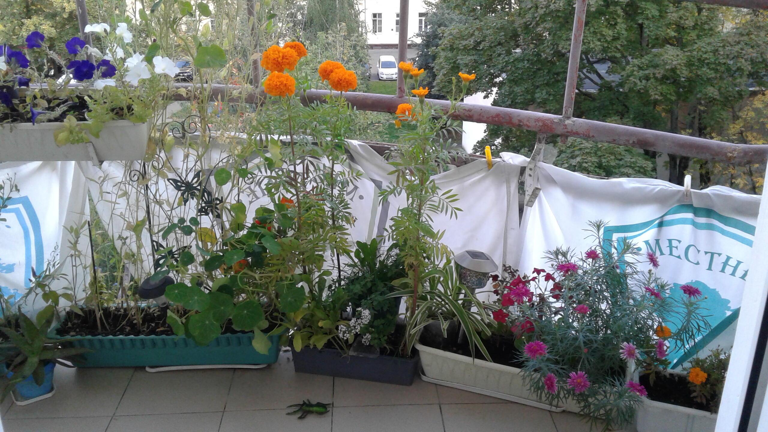 Кусочек рая