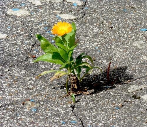 Невозможное - возможно?