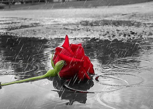 При многословии не миновать греха