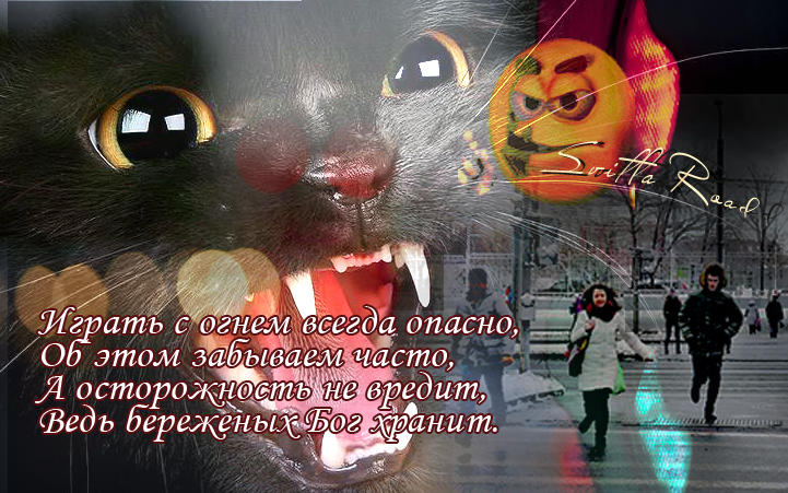 Береженых Бог хранит