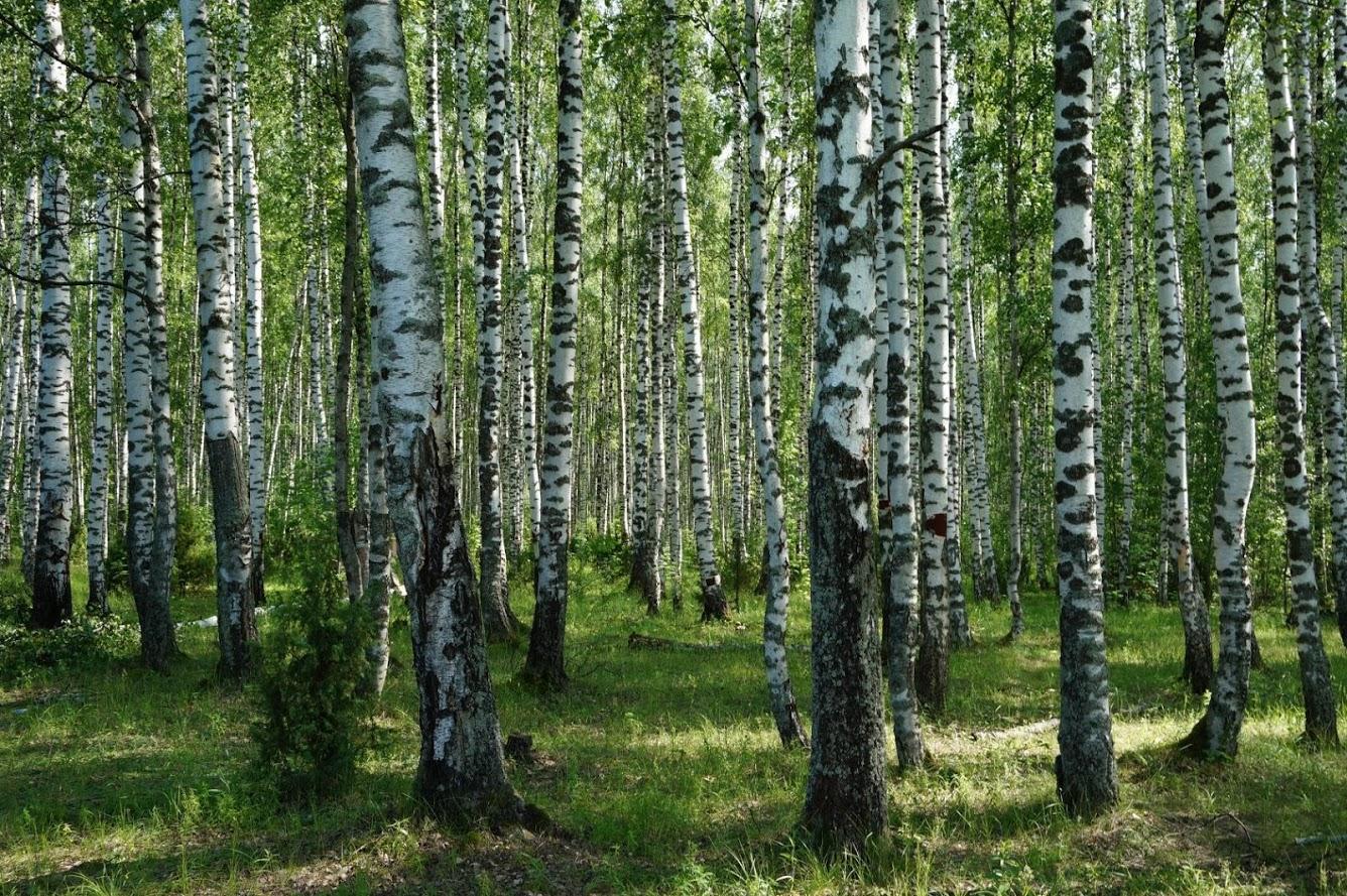 МНЕ ПО ДУШЕ...