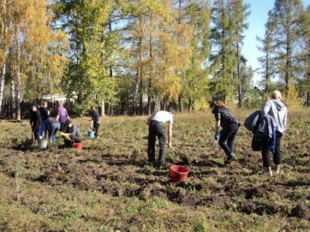 Оторвался листок от ветвей.