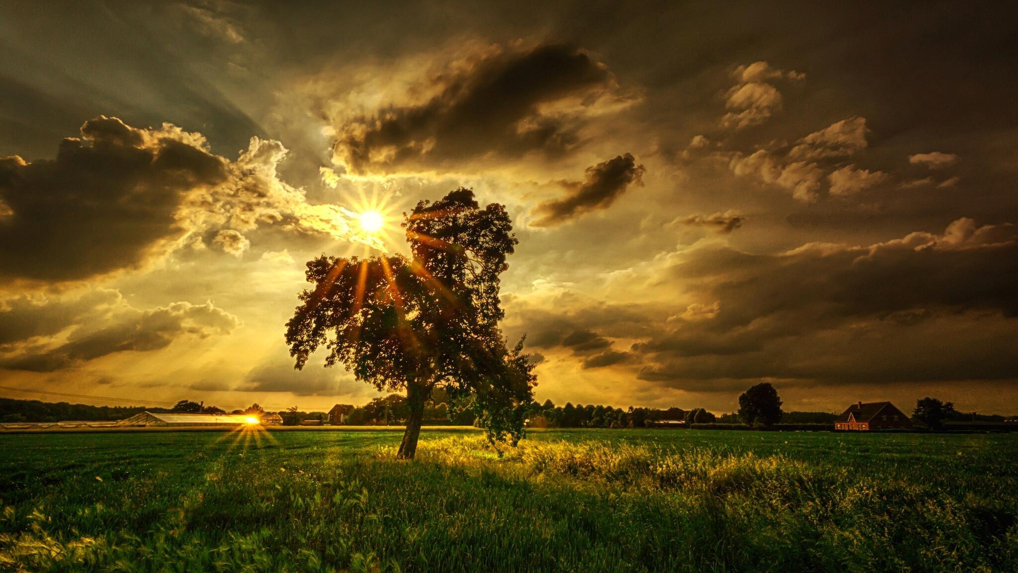 СКОЛЬЗНУЛО НЕКОЕ СОМНЕНИЕ