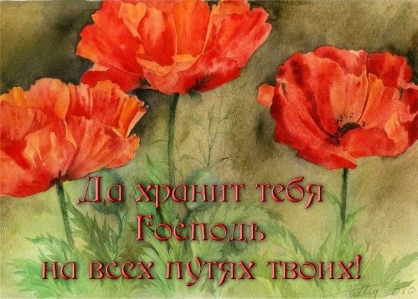 на свете все хотят лишь теплоты от 8. 03. 2012