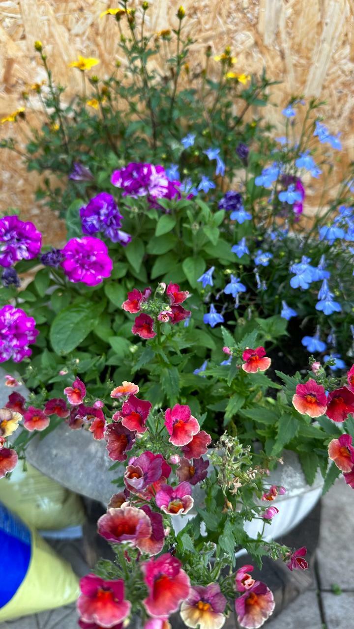 Ликует природа...