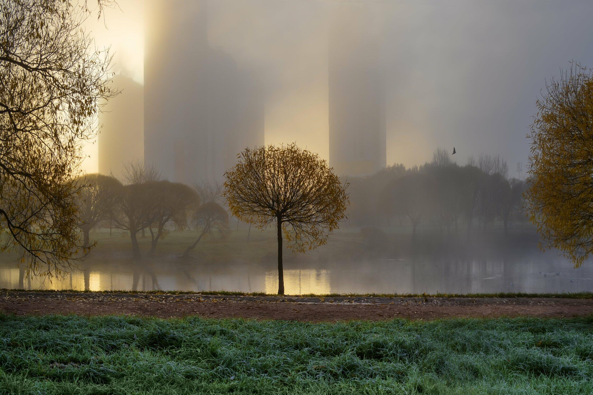 Помнишь? Небо голубое...