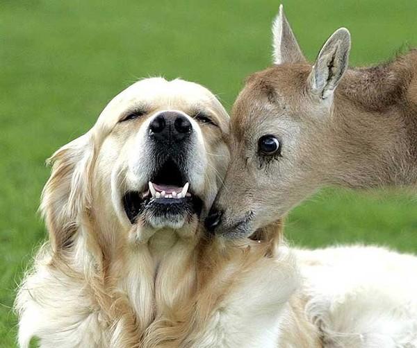 ДАВАЙТЕ ЖИТЬ ДРУЖНО!