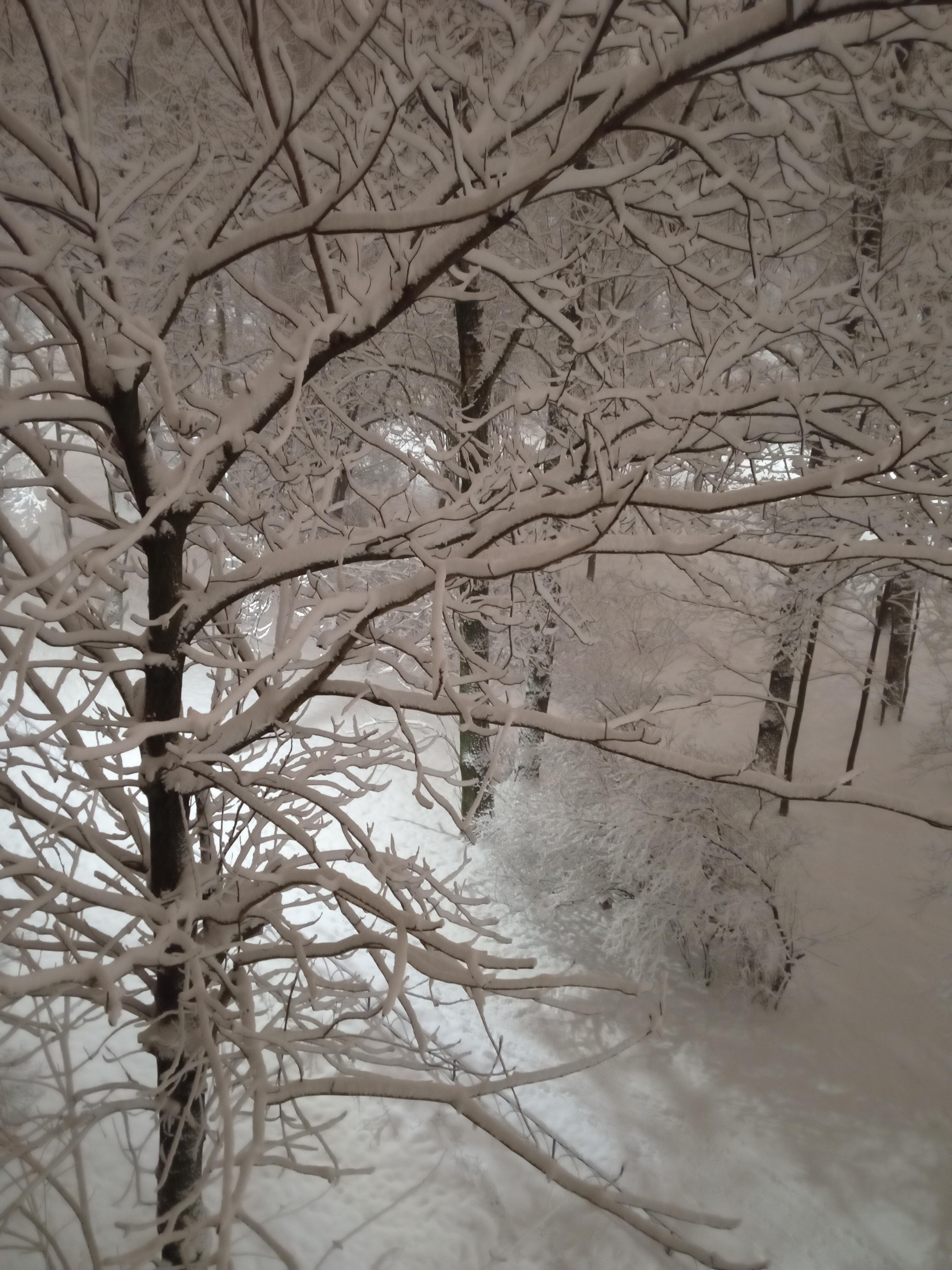 Зимний Питерский циклон