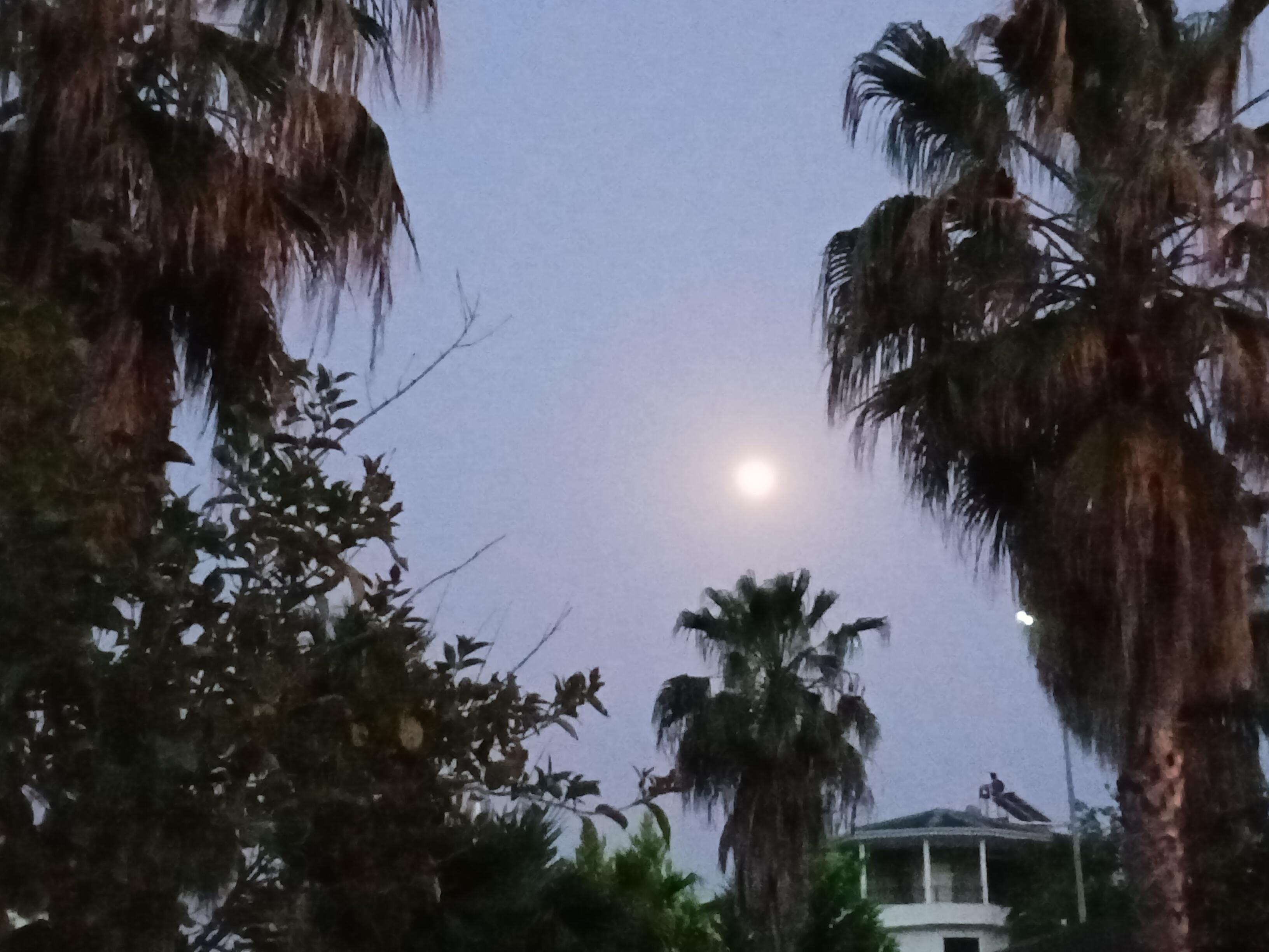 Смертельная рана. КГ