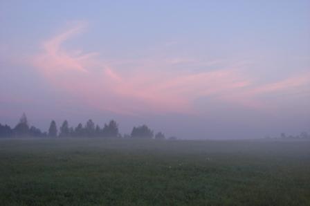 Белым пеплом с небес