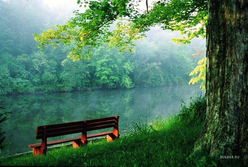 Прекрасный день