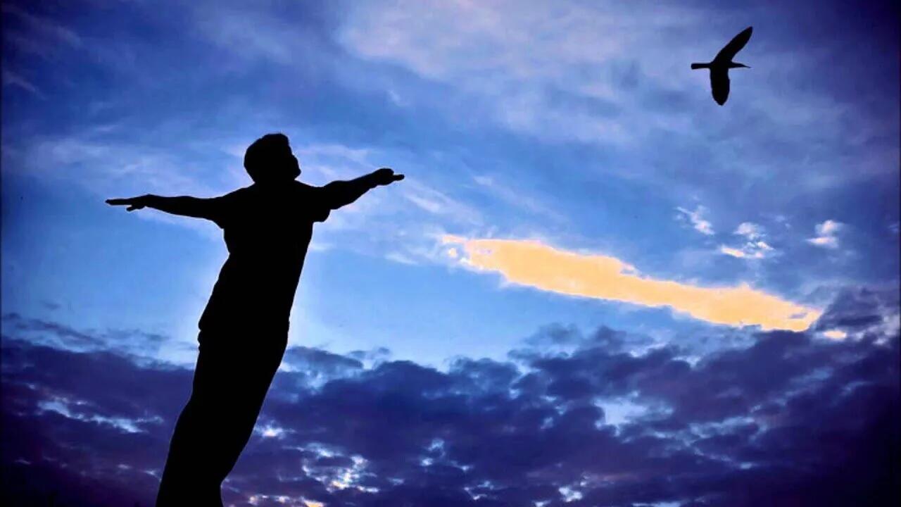 Полёт вспоминаний