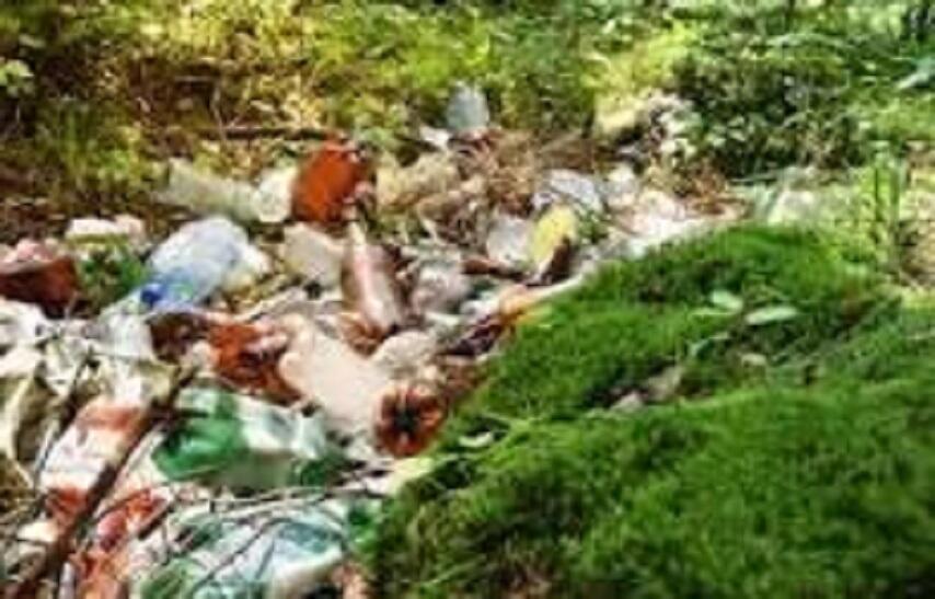 РОДНАЯ ПРИРОДА_5