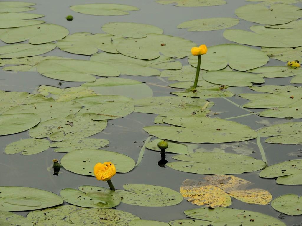 Когда боль...