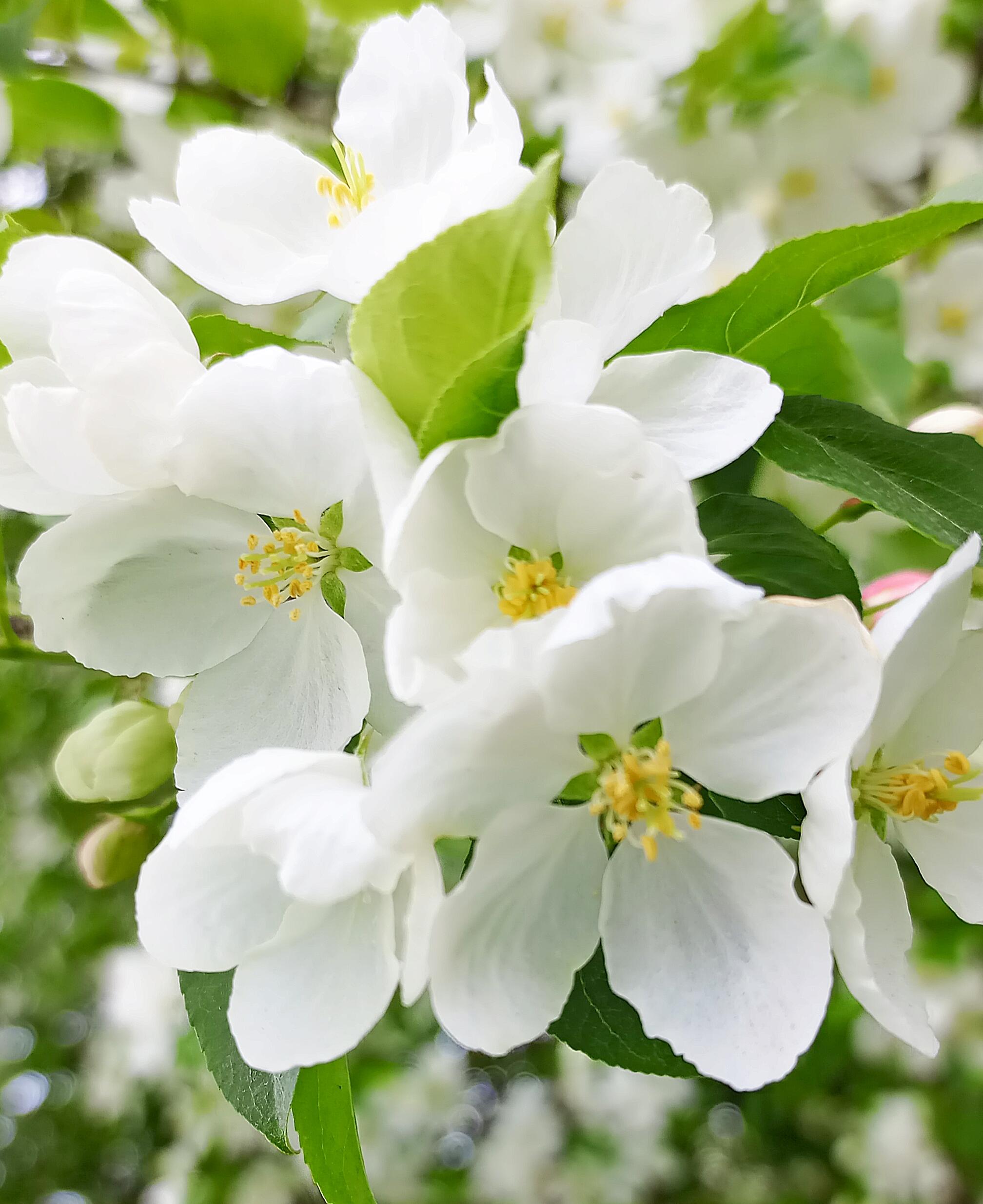 Майский рай.