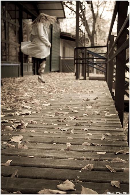 "Осыпались жёлтые листья..." (18.11.2015)