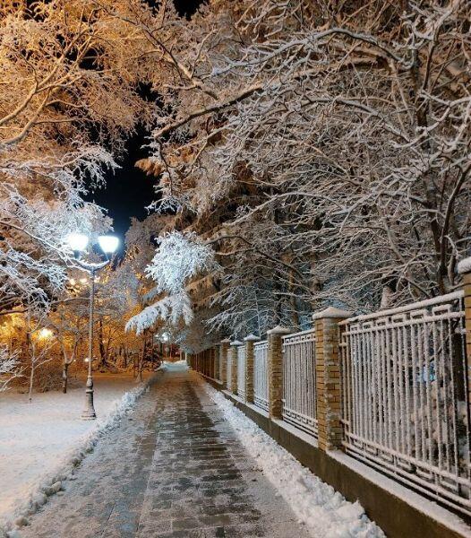 Снежный ноктюрн