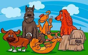 Не только псарня - джунгли, лес дремучий! /коротыш/