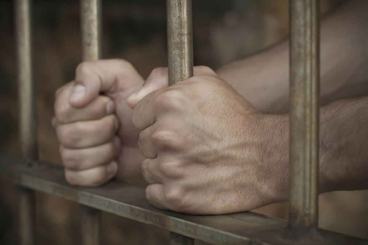 Ответ поэту - Медведь Белый - НЕ  ФОРТАНУЛО