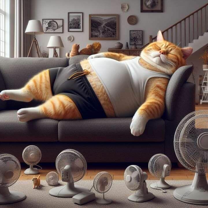 Василий Иванович