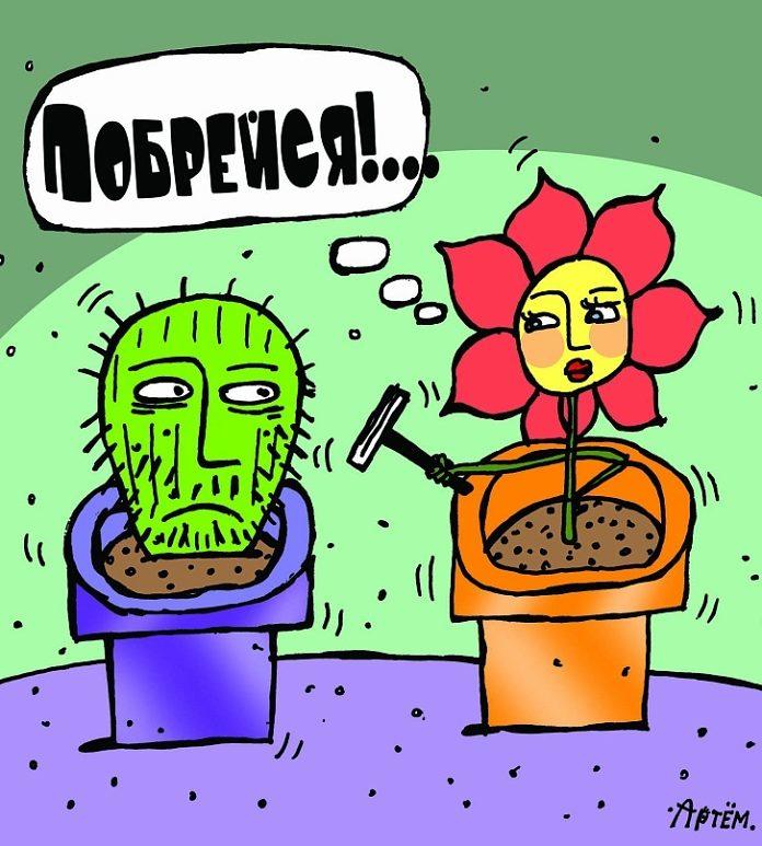 Кактус клиент дднет. Приколы про растения. Кактус карикатура. Карикатуры смешные. Приколы про цветы.