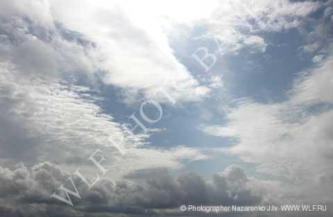 Небеса прислушались к молитвам