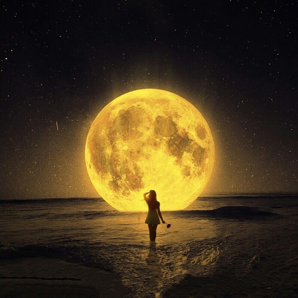 НОЧКА  С  ЖЁЛТЫМИ  ГЛАЗАМИ