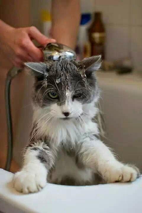 Не лезут с мылом к зверю