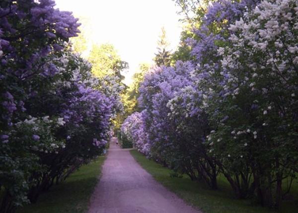 Я иду по скверу...