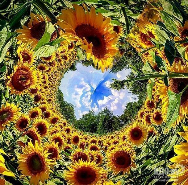 Витраж из чужих судеб