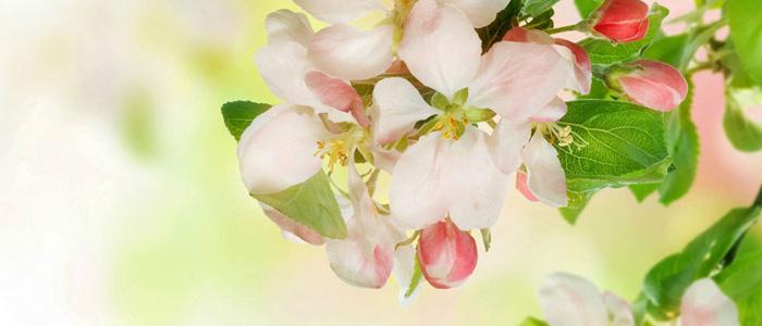 Навстречу новому дню