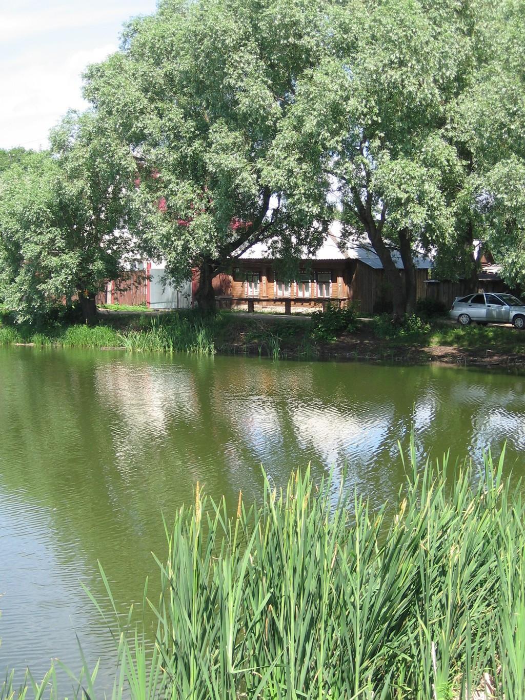 МЕЧТА ЛЕНТЯЯ