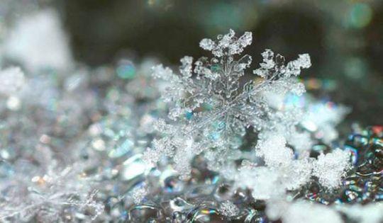 Он снова прилетел...