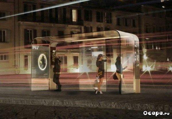 Жизнь не знает