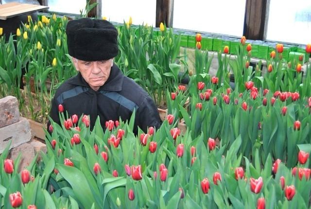 Цветы и люди