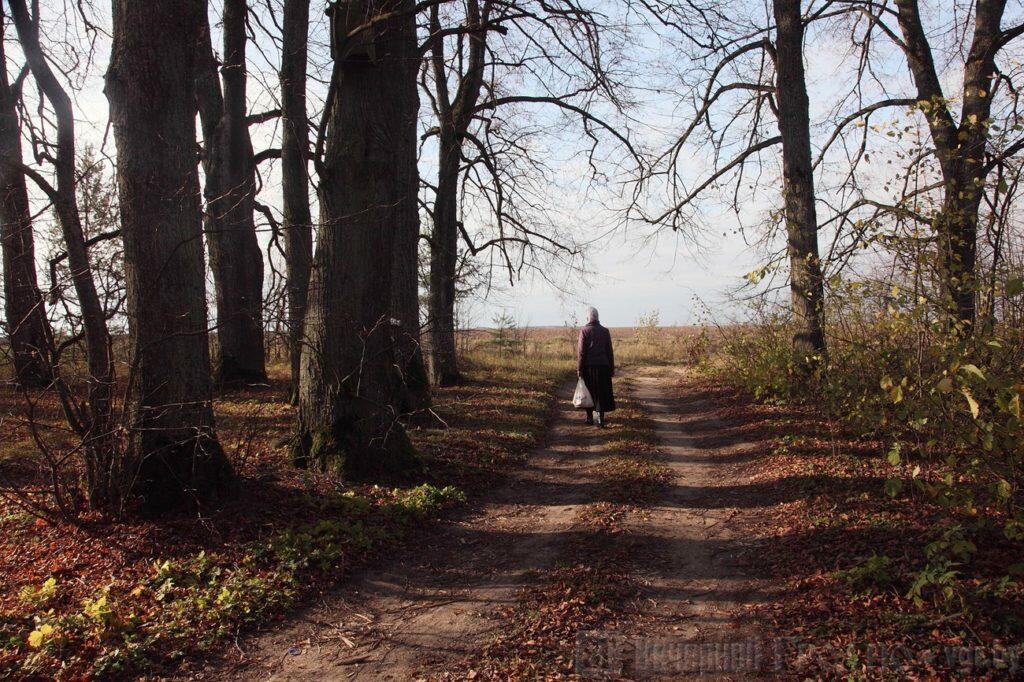 Не нам о том судить