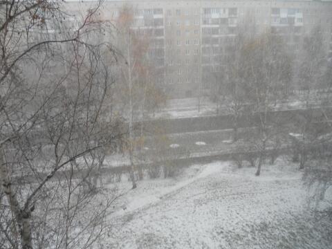 Заунывно как... (Хокку)...