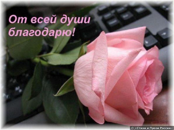 Тамаре Ивановне от 26. 05. 2011