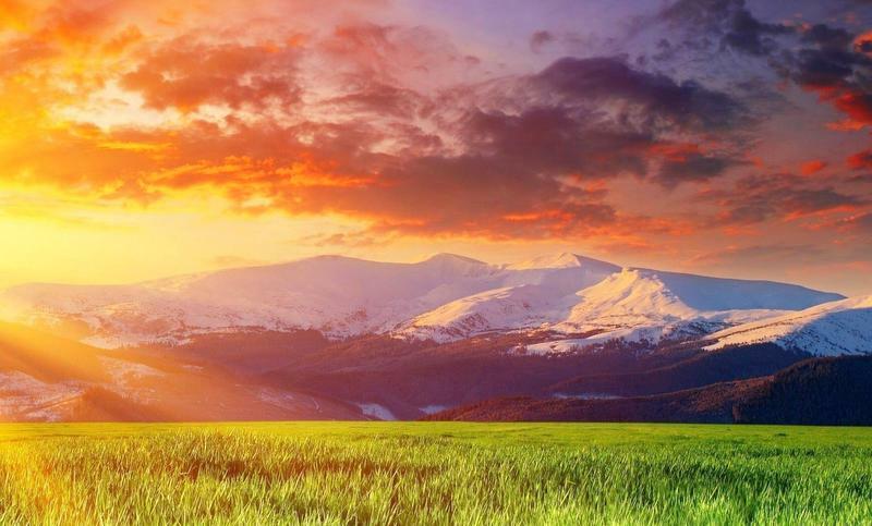 ГРИВЫ ОСЕНИ