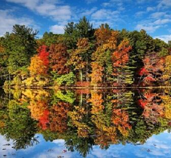 ---Осенняя природа---