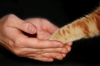 Прикосновение