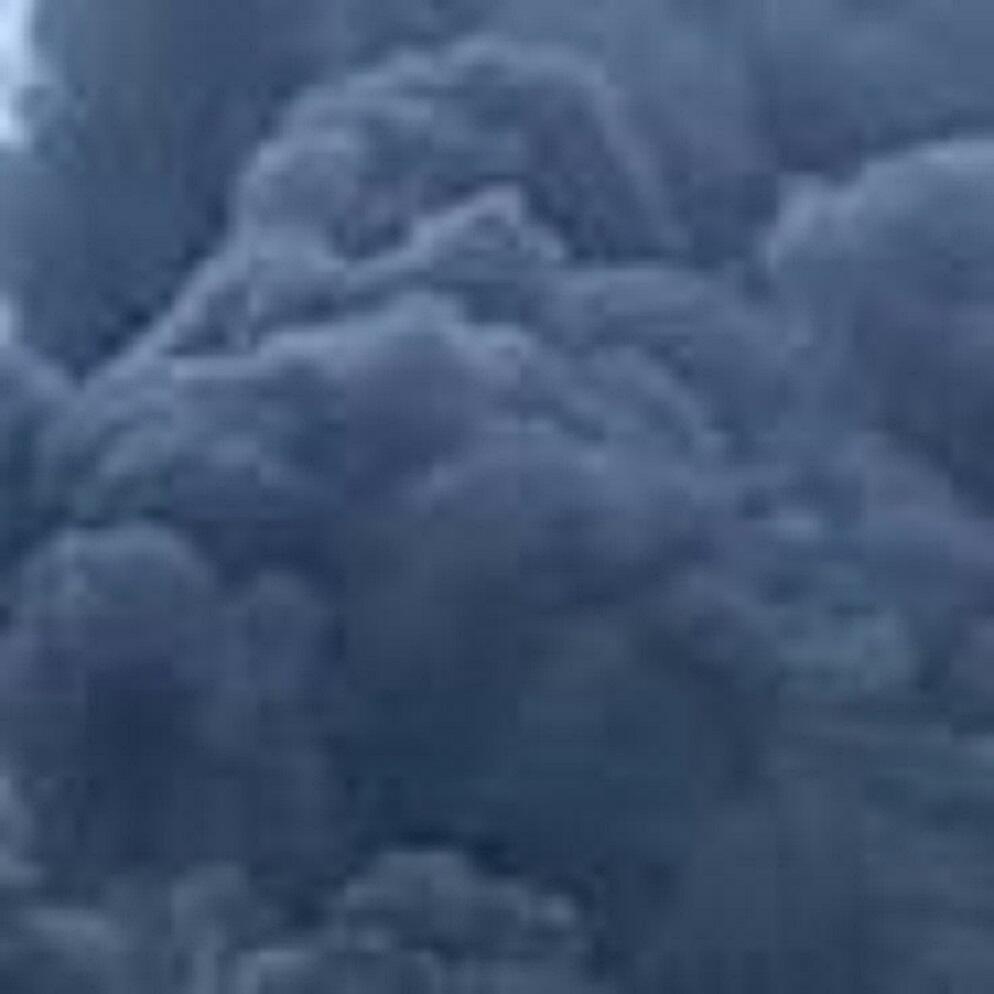 КРОВАВОЕ ЛИЦО ВОЙНЫ