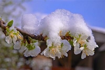 С днём рождения, Анна Санина!