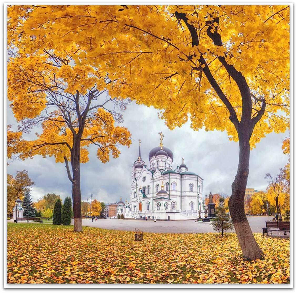 "Осень моя грешная..." (04.11.2021)